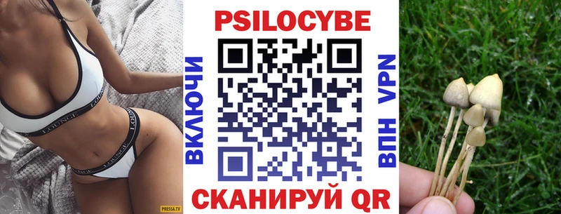 Галлюциногенные грибы прущие грибы  Купить где  Обоянь 